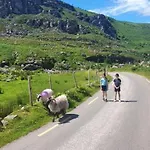 Stay-halfway Between And Tralee Killarney