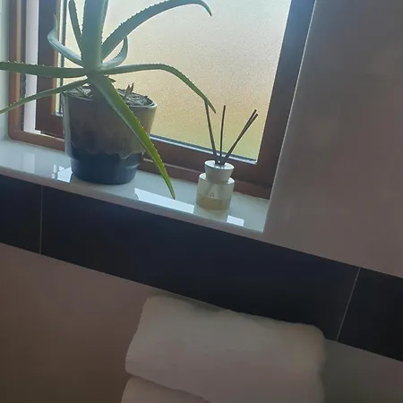 Stay-halfway Between And Tralee Maison d'hôtes 3*