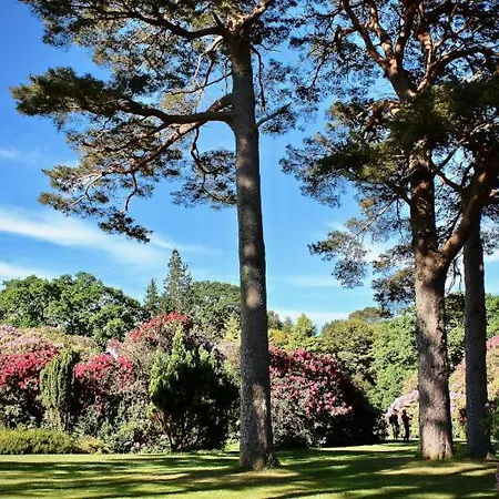 Stay-halfway Between And Tralee Guest house