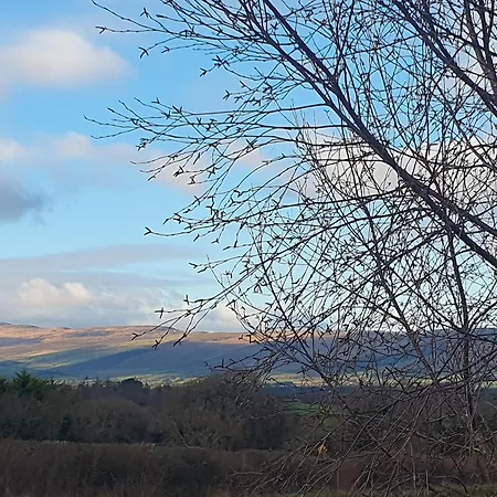 Stay-halfway Between And Tralee Maison d'hôtes 3*