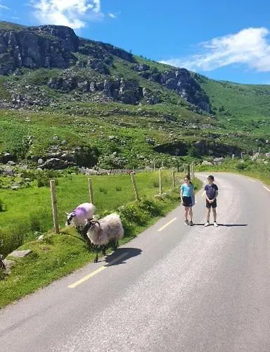 Stay-halfway Between And Tralee Killarney