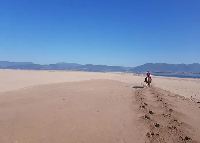 Stay-halfway Between And Tralee