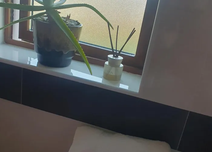 Stay-halfway Between And Tralee Affittacamere 3*