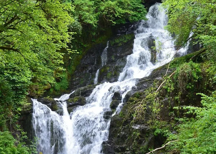 Guest house Stay-halfway Between And Tralee Killarney