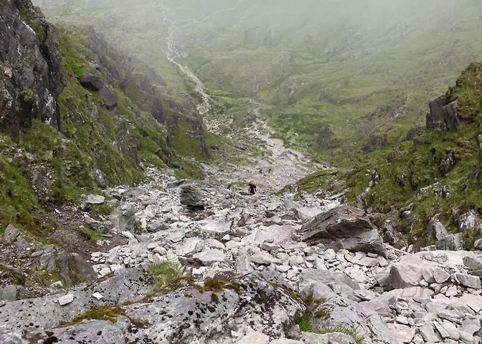 Stay-halfway Between And Tralee Guest house 3*