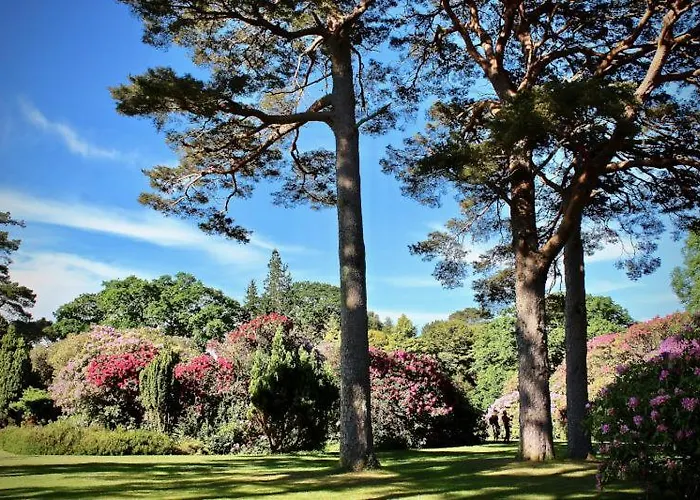 Stay-halfway Between And Tralee Guest house