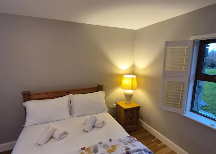 Stay-halfway Between And Tralee